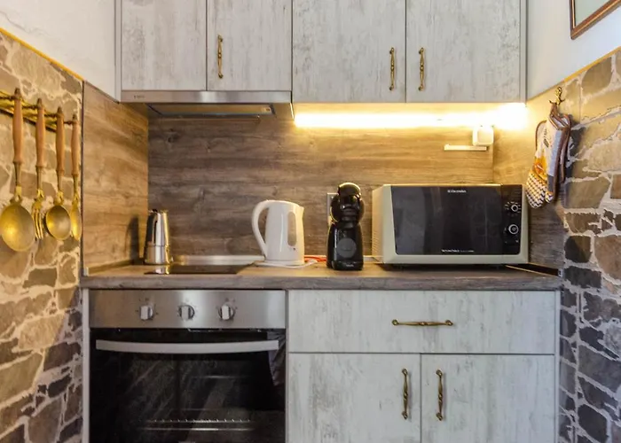 георги божилов - слона