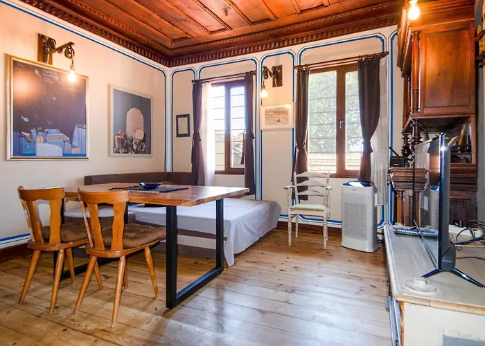 георги божилов - слона Plowdiw