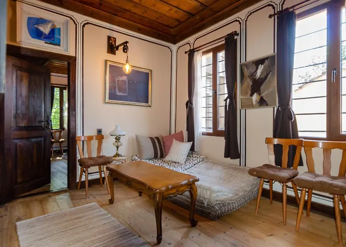 георги божилов - слона * Plowdiw